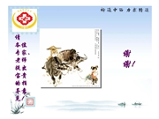 骨髓间充质干细胞与祖国医学肾脏理论之相关性初探