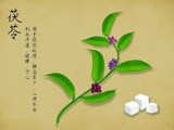 茯苓